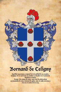 Escudo heráldico del apellido BORNAND DE CELIGNY