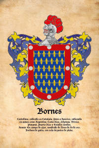 Escudo heráldico del apellido BORNES