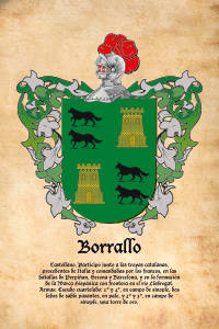 Escudo heráldico del apellido BORRALLO