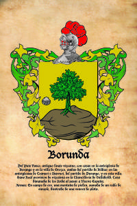 Escudo heráldico del apellido BORUNDA