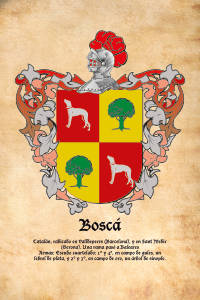 Escudo heráldico del apellido BOSCA