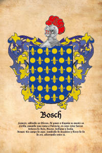 Escudo heráldico del apellido BOSCH