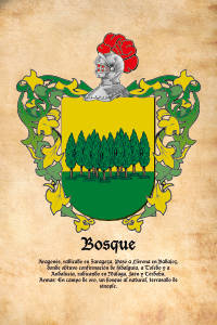 Escudo heráldico del apellido BOSQUE