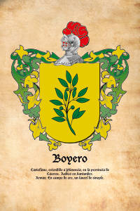 Escudo heráldico del apellido BOYERO