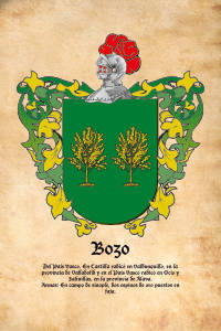 Escudo heráldico del apellido BOZO