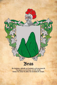 Escudo heráldico del apellido Bras