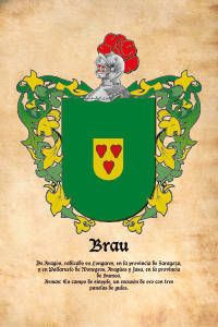 Escudo heráldico del apellido Brau