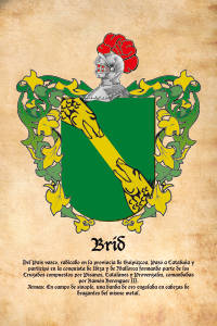 Escudo heráldico del apellido BRID