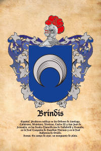 Escudo heráldico del apellido BRINDIS
