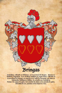 Escudo heráldico del apellido BRINGAS