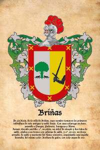 Escudo heráldico del apellido BRIÑAS