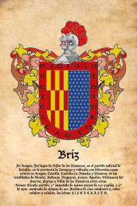 Escudo heráldico del apellido BRIZ