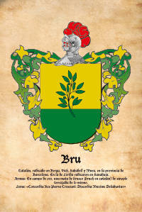 Escudo heráldico del apellido BRU