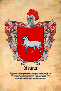 Escudo heráldico del apellido BRUNA