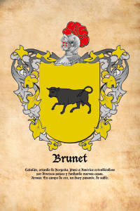 Escudo heráldico del apellido BRUNET