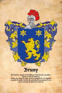 Escudo heráldico del apellido BRUNY
