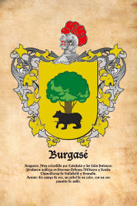 Escudo heráldico del apellido BURGASE