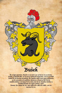 Escudo heráldico del apellido Busek