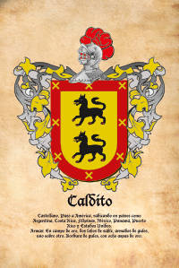 Escudo heráldico del apellido CALDITO