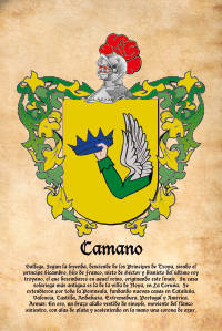 Escudo heráldico del apellido CAMANO