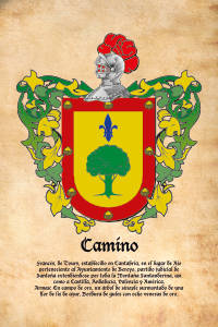 Escudo heráldico del apellido CAMINO