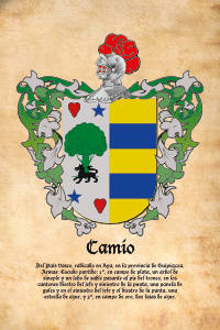Escudo heráldico del apellido CAMIO