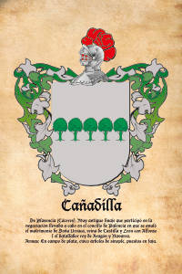 Escudo heráldico del apellido CAÑADILLA