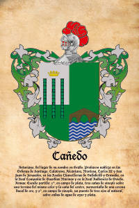 Escudo heráldico del apellido CAÑEDO
