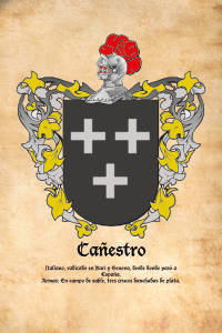 Escudo heráldico del apellido CAÑESTRO