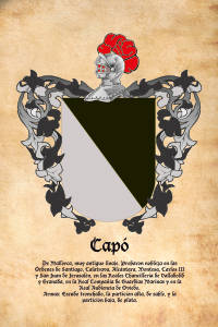 Escudo heráldico del apellido CAPO