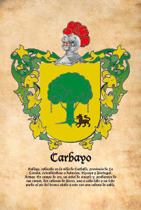 Escudo heráldico del apellido CARBAYO