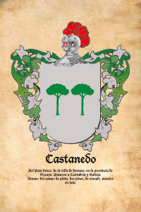 Escudo heráldico del apellido CASTANEDO