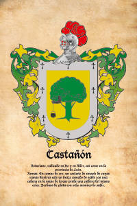Escudo heráldico del apellido CASTAÑON