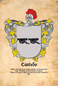 Escudo heráldico del apellido CASTEDO