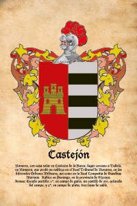 Escudo heráldico del apellido CASTEJON