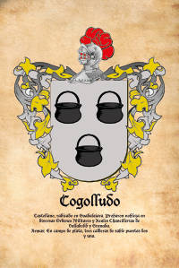 Escudo heráldico del apellido COGOLLUDO