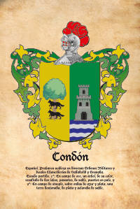 Escudo heráldico del apellido CONDON