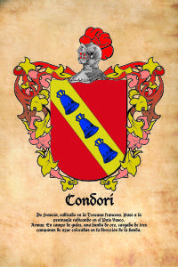 Escudo heráldico del apellido CONDORI