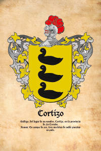Escudo heráldico del apellido CORTIZO