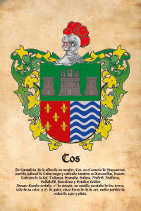 Escudo heráldico del apellido COS