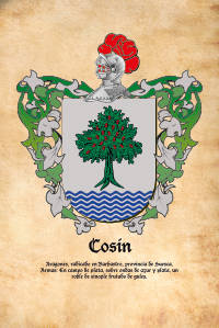 Escudo heráldico del apellido COSIN