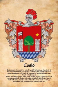 Escudo heráldico del apellido COSIO