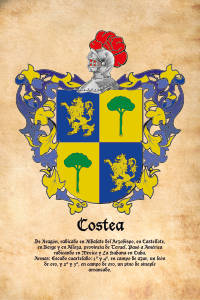 Escudo heráldico del apellido COSTEA