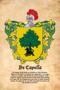 Escudo heráldico del apellido DE CAPELLA