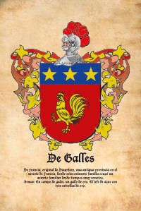 Escudo heráldico del apellido DE GALLES
