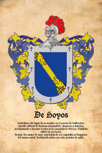 Escudo heráldico del apellido DE HOYOS