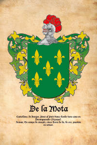 Escudo heráldico del apellido DE LA MOTA