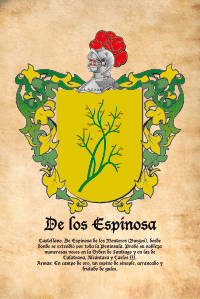 Escudo heráldico del apellido DE LOS ESPINOSA