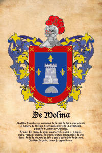 Escudo heráldico del apellido DE MOLINA