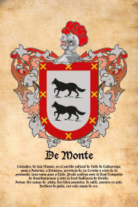 Escudo heráldico del apellido DE MONTE